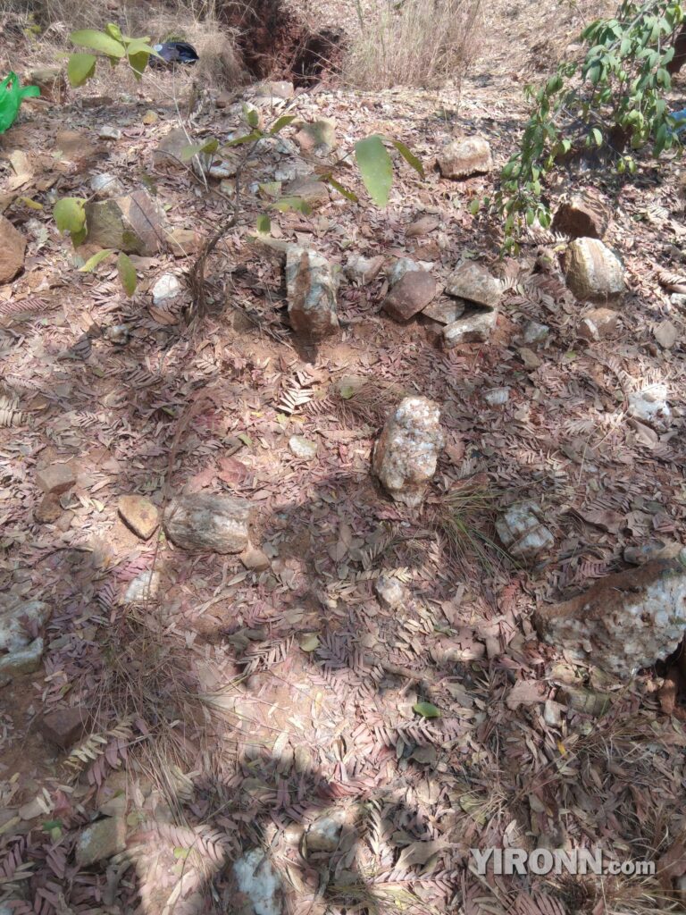 产地实拍